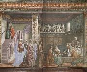 Domenicho Ghirlandaio Geburt Marias oil on canvas